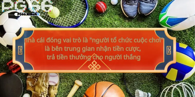 popo.uk.com__Nhà cái cá cược là gì